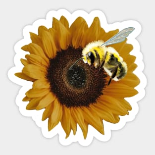 Save the Bees - realism sunflower and bee Sticker